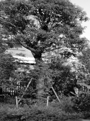 高淳注册公司